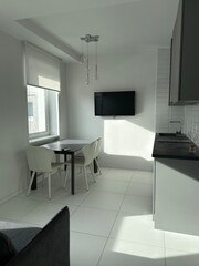 Bright modern studio apartment with kitchen, dining and sofa