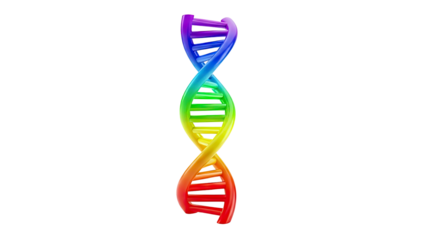 Rainbow DNA Double Helix