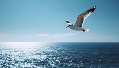 Seagull soaring over shimmering sea