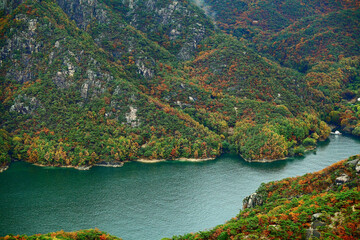 가을 푸른 숲과 고요한 호수