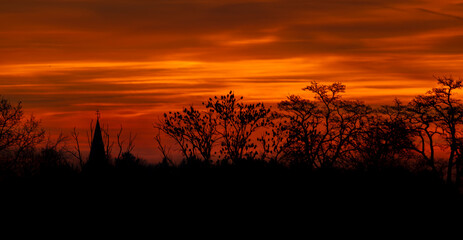 Color sunrise with clouds and silhouettes of trees in frosty morning