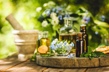 Alternative green herbal medicine. Natural plant-based ingredients for skin care beauty products, perfumery production. Small business, laboratory, drug research, organic extracts in glassware