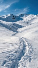 Winding Footpath in Snowy Mountain Landscape