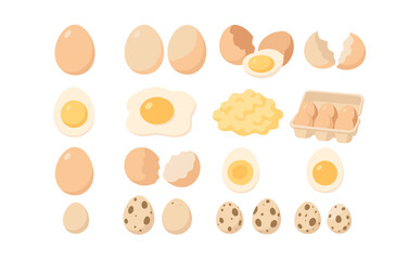 Cartoon egg variety collection: whole, cracked, fried, scrambled, and boiled styles