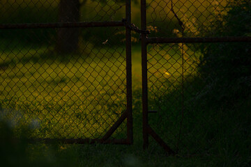 rusty chainlink gate at sunset padlock and chain silhouetted against backlit meadow warm golden light filtering through wire mesh tall grass