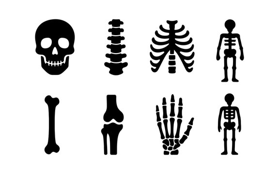Collection of human skeleton parts and full body silhouettes in black and white