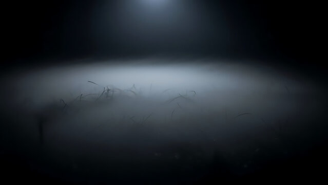 Foggy Night Scene, Hidden Objects, Mysterious Environment, Photography, Dark Atmosphere, Low Angle View, Unseen Wonders