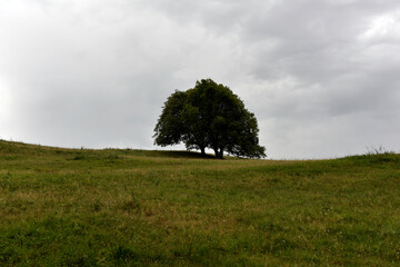 Aktuelle Situation des Klimawandels in Europa