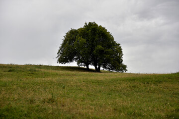 Aktuelle Situation des Klimawandels in Europa