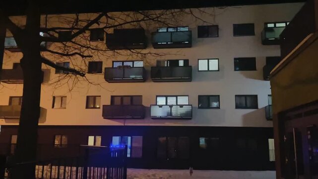 night apartment facade with bare tree silhouette in foreground, balcony rows and lit windows, frost glimmer on railings, imagined resident Taken on mobile device.