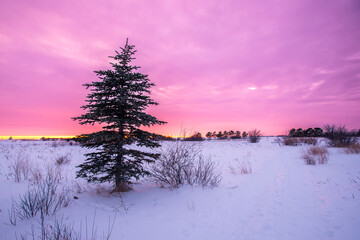 Winter sunset on the prairie