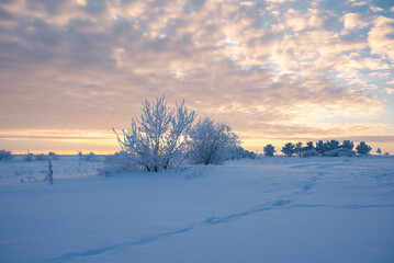 Winter sunset on the prairie
