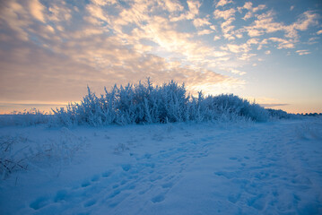 Winter sunset on the prairie