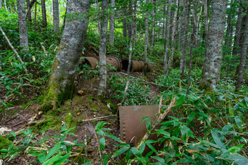 Abandoned industrial remnants hidden in a lush Russian forest