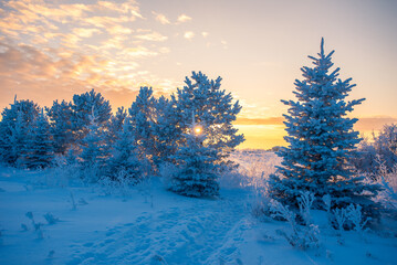 Winter sunset on the prairie