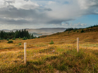 Fototapeta premium Fence in a field with forest, mountains and blue cloudy sky background. Stunning nature scenery in Ireland. Nobody. Travel and tourism. Irish landscape.