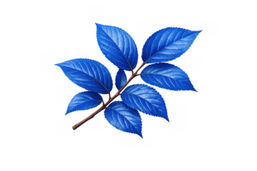 Vibrant blue leaves creating an abstract botanical design on a transparent background, depicting a surreal nature element