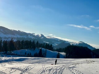 The child is sledding near the mountains and the forest in Switzerland.