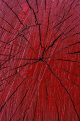 Red painted tree stump with radial cracks and natural wood texture