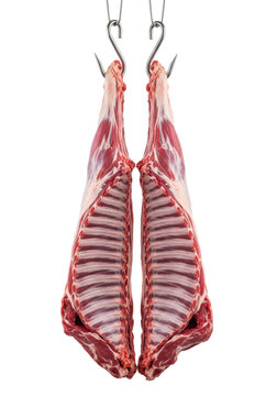 a whole raw lamb carcass, symmetrically split, pristine red muscle tissue and visible anatomy, hanging vertically from steel hooks on a brilliant white background, commercial food industry precision