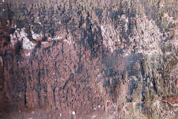 Textured surface of an old wall with peeling paint in an outdoor setting during daylight