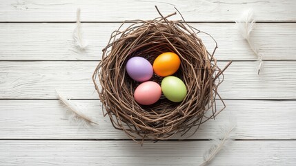 Vibrant Pastel Eggs Nestled in Rustic Bird's Nest on White Wooden Background with Feathers