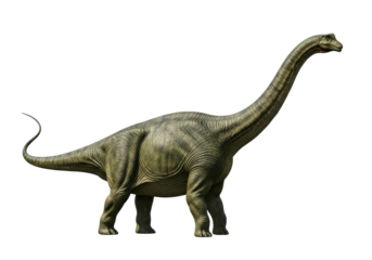 a colossal, scientifically accurate apatosaurus with textured olive green and brown reptilian skin stands in a full profile pose on a high-key white background, concept of isolated paleontology study