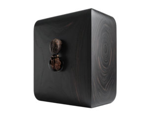 Modern black electronic device with button on transparent background