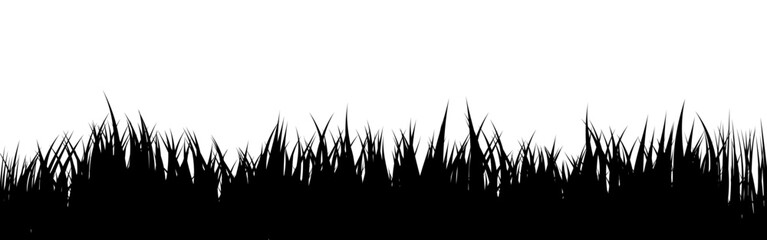Fototapeta premium Meadow silhouette with grass, plants on plain. Panoramic summer lawn landscape with herbs, various weeds. Herbal border, frame element. Black horizontal banners. Vector illustration