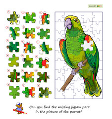 Game find and search. Can you find the missing jigsaw part in the picture of the parrot? Logic puzzle. Kids brain teaser book. Flat hand drawn vector. Task for attentiveness. Develop spatial thinking