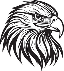 Obraz premium Bald Eagle Head Illustration