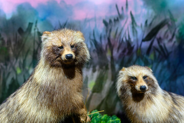 Stunning display of realistic raccoon dogs in a vibrant natural setting