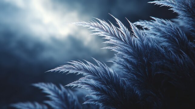 Mystical blue grass against a dramatic cloudy sky background.