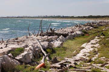 Rotten driftwood, branches, and logs washed ashore by the sea on a breakwater