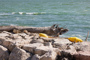 Driftwood and buoy on the beach on Pellestrina lagoon