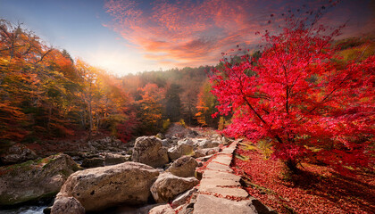 Vibrant Red Leaves On Rocky Path In Serene Nature Landscape