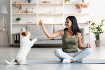 Cheerful young asian woman in sportswear sitting on yoga mat and playing with her funny dog jack...