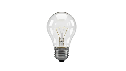 Clear Incandescent Light Bulb