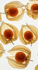 Multiple vibrant orange physalis fruits, partially encased in delicate translucent papery husks, are elegantly backlit against a clean white background, highlighting their natural beauty.