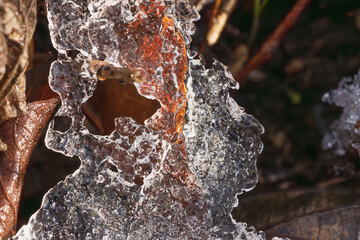 冬の山　枯草に付いた氷が溶け輝く01