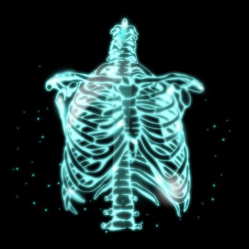 Illuminated illustration of the human sternum bones with green glow effect on black background