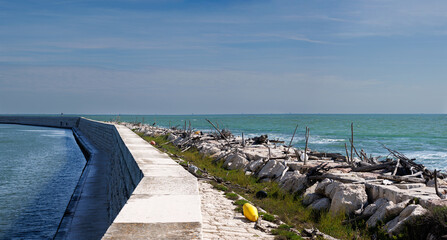 Rotten driftwood, branches, and logs washed ashore by the sea on a breakwater