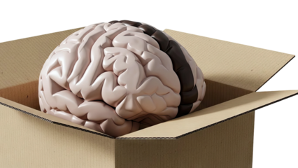 Brain in a Box