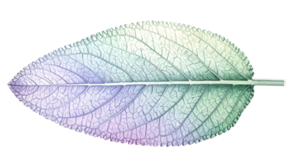 Close-up of a single, vibrant leaf with intricate veining, isolated against black