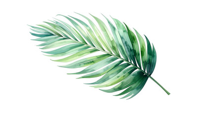 Watercolor illustration of a palm frond, rendered in shades of green on a transparent background