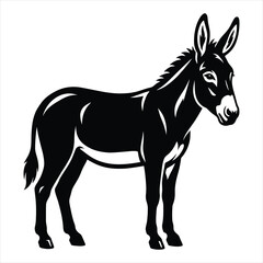 Obraz premium black and white horse