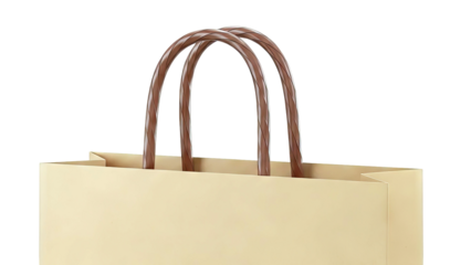 Brown Paper Shopping Bag with Twisted Handles
