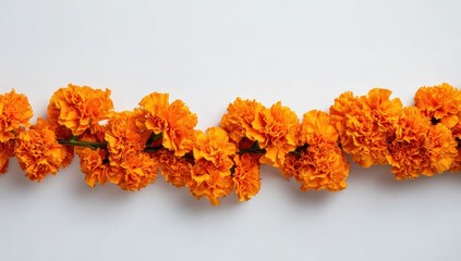 Vibrant photo of Traditional garland of bright orange marigold flowers isolated on white background