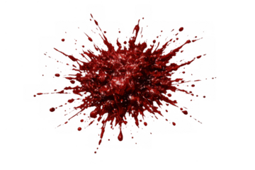 Red blood splash creating a dynamic liquid explosion effect with many small droplets and a transparent background