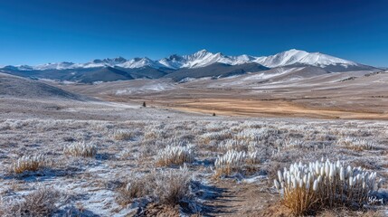 Snow-covered alpine meadow with majestic snow-capped mountains under a clear blue sky